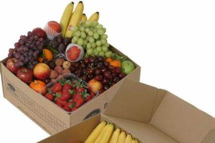 hop giay dung trai cay gia re