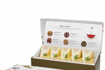 mau In hop dung tra 3