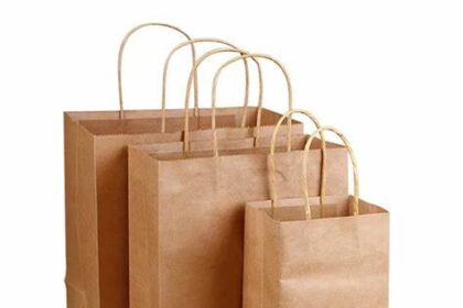 tui giay dung thuc an dep