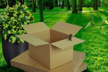 Hộp giấy với môi trường