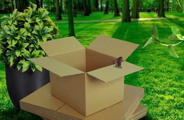 Hộp giấy với môi trường
