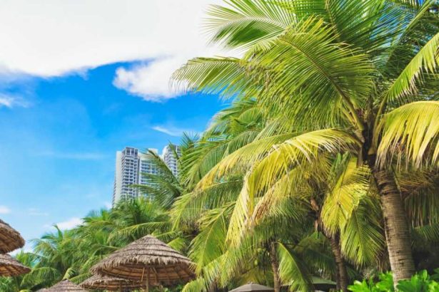 Điểm Vui Chơi Tết Trung Thu 2024